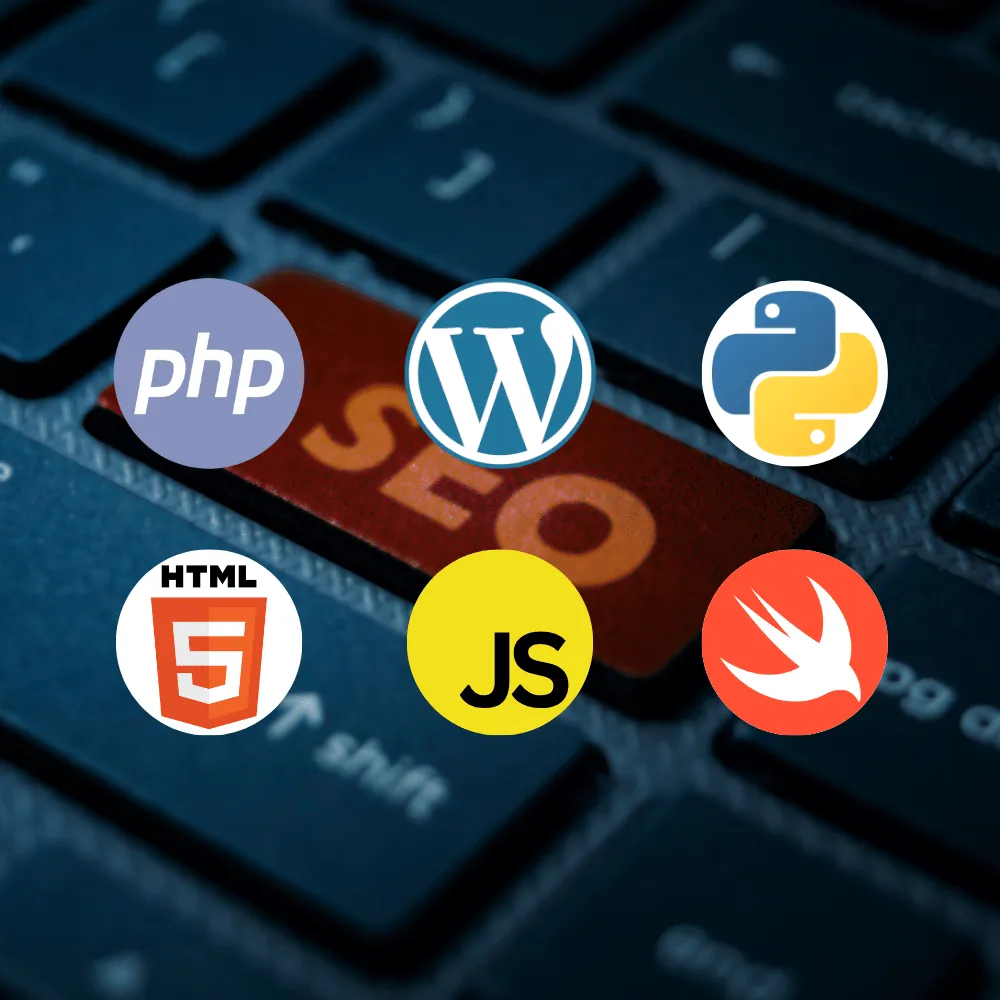 Professional website SEO illustration